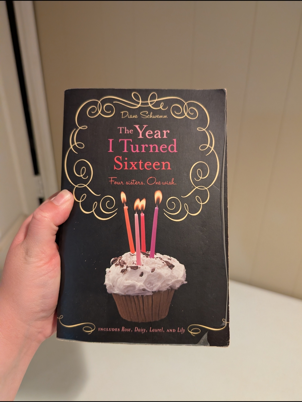 The Year I Turned Sixteen Paperback - Pink & Black Cover